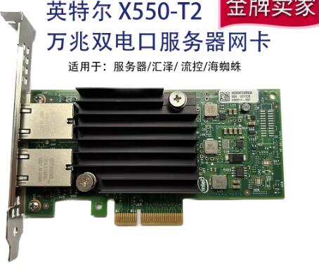 Intel X550-T2 10G dual port 10 - Gigabit Network Card recensione e prezzo